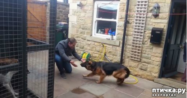 ���� 1: ������������ �������������. ������ ������ �� ������� ��� ���� ������ �������...