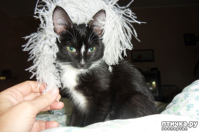 ���� 2: ����� �������� �� ������ ���� ��������.