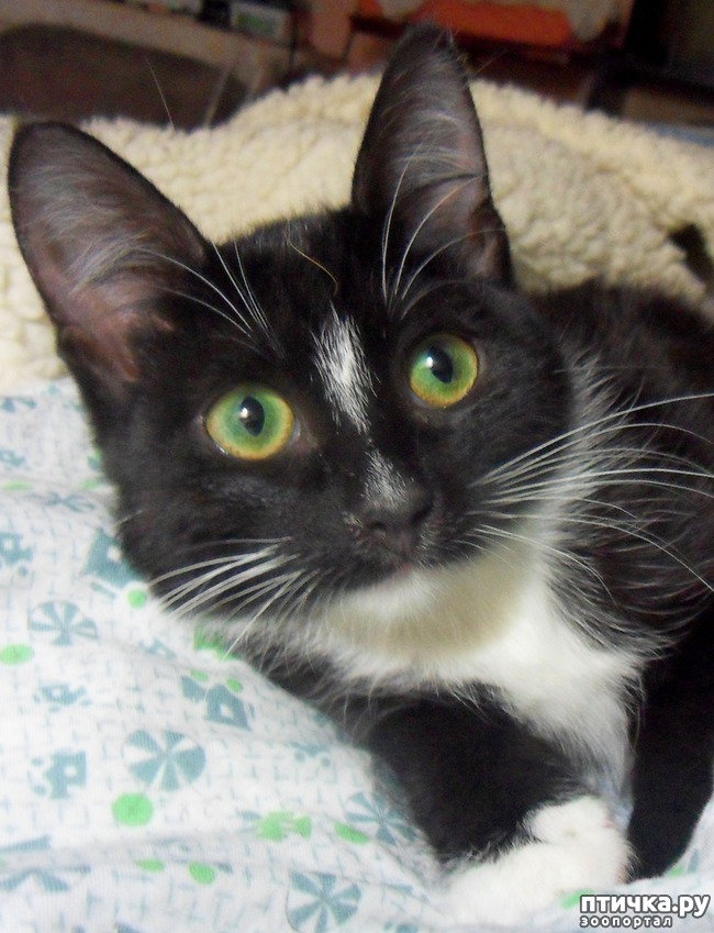 ���� 3: ����� �������� �� ������ ���� ��������.