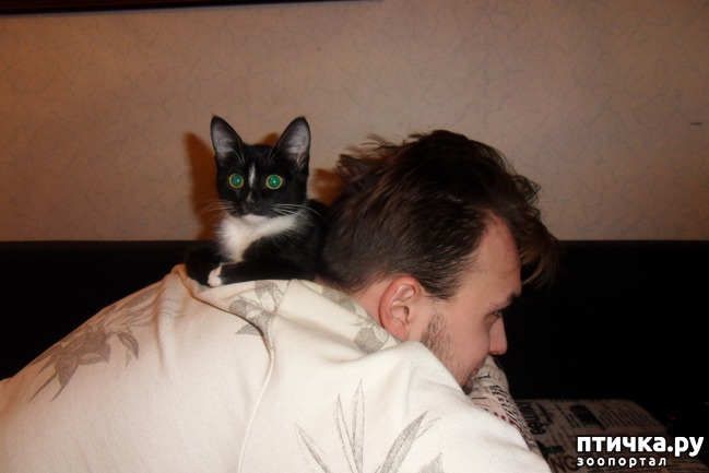 ���� 5: ����� �������� �� ������ ���� ��������.