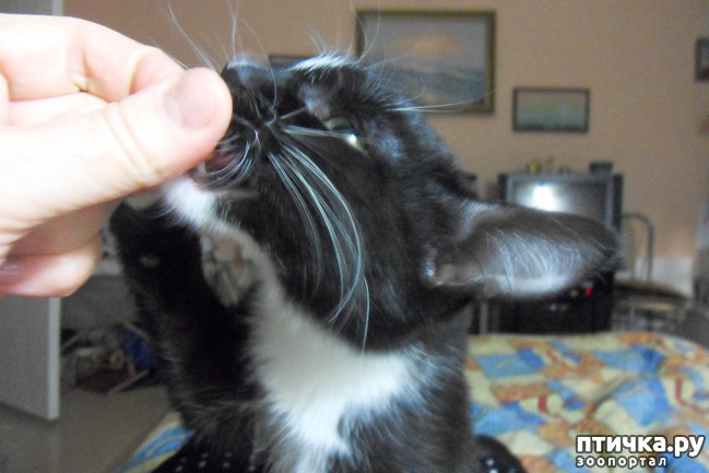 ���� 4: ����� �������� �� ������ ���� ��������.