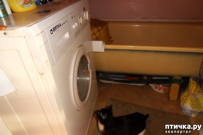 ���� 10: ����� �������� �� ������ ���� ��������.