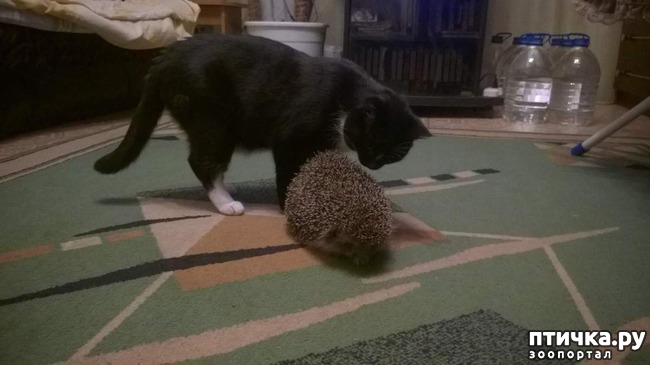 ���� 9: ����� �������� �� ������ ���� ��������.