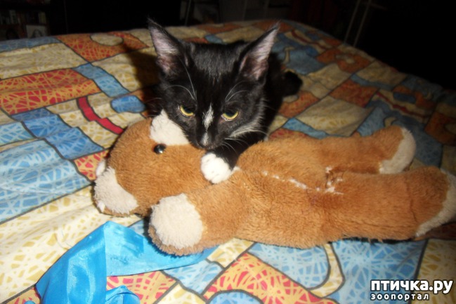 ���� 8: ����� �������� �� ������ ���� ��������.