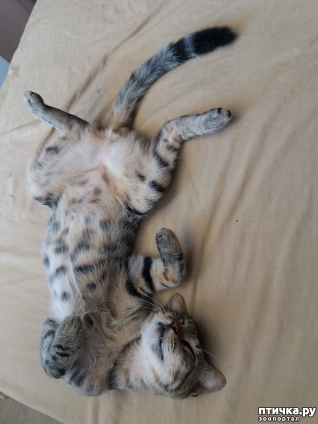 ���� 3: �- ���.