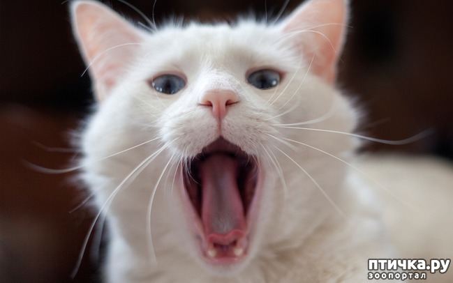 ���� 1: ��� �� ���������� �����