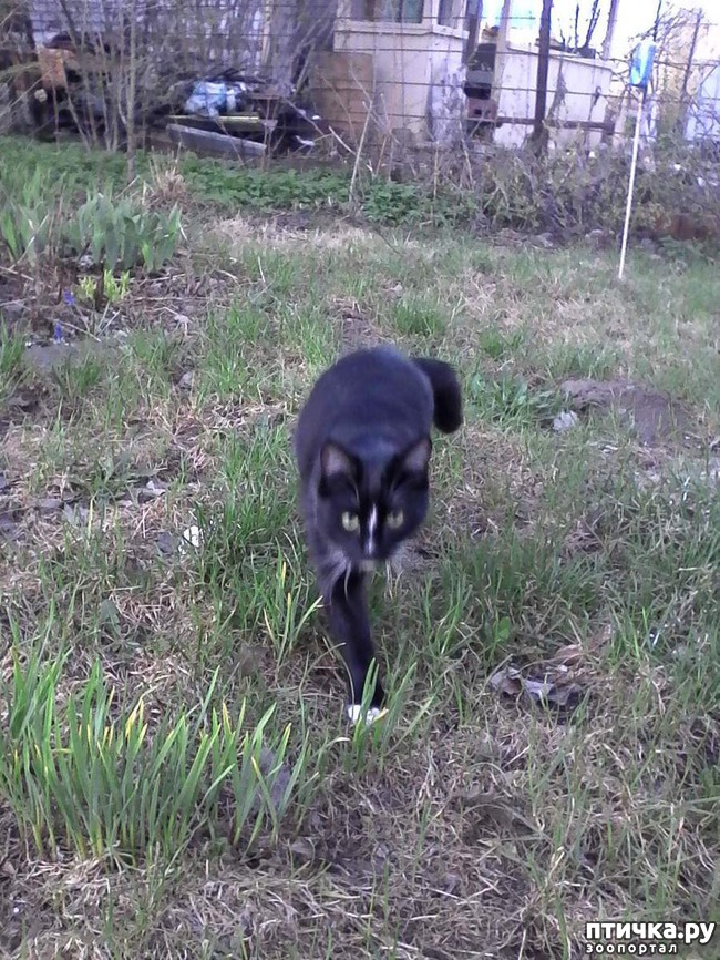 ���� 13: ����� �������� �� ������ ���� ��������.