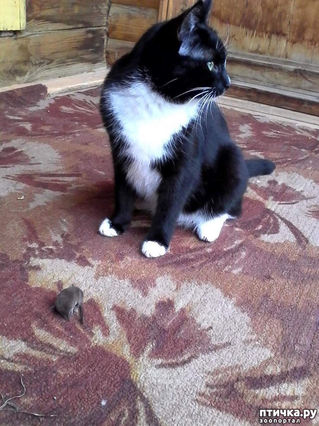 ���� 12: ����� �������� �� ������ ���� ��������.