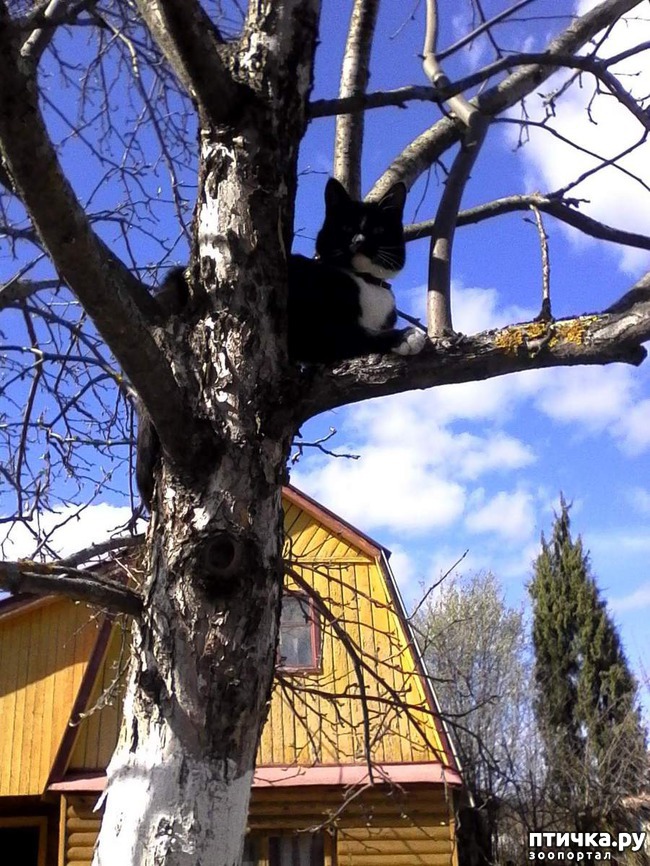 ���� 11: ����� �������� �� ������ ���� ��������.