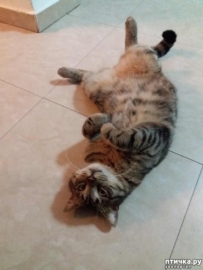 ���� 7: �- ���.