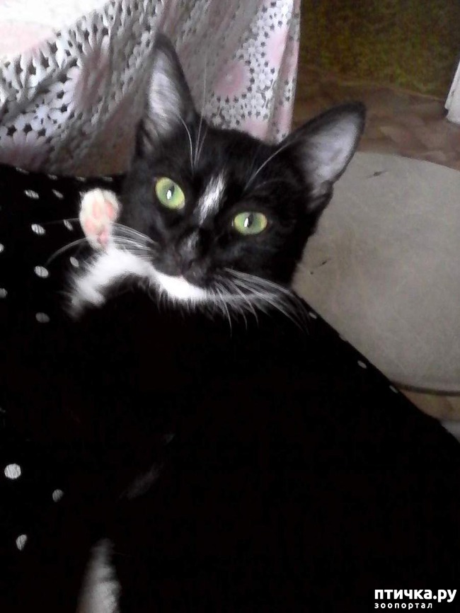 ���� 6: ����� �������� �� ������ ���� ��������.