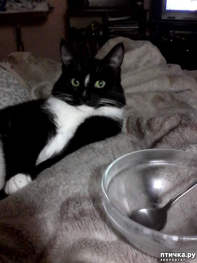 ���� 7: ����� �������� �� ������ ���� ��������.