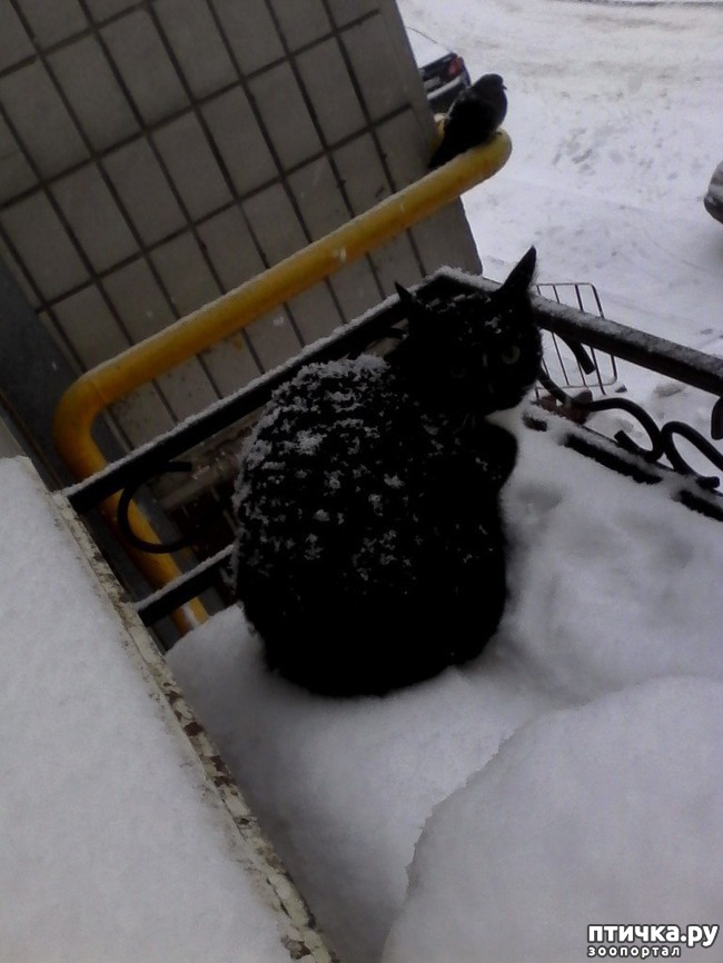 ���� 15: ����� �������� �� ������ ���� ��������.