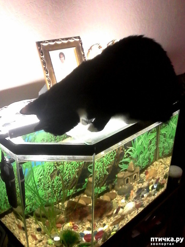 ���� 20: ����� �������� �� ������ ���� ��������.