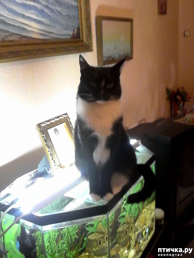 ���� 19: ����� �������� �� ������ ���� ��������.