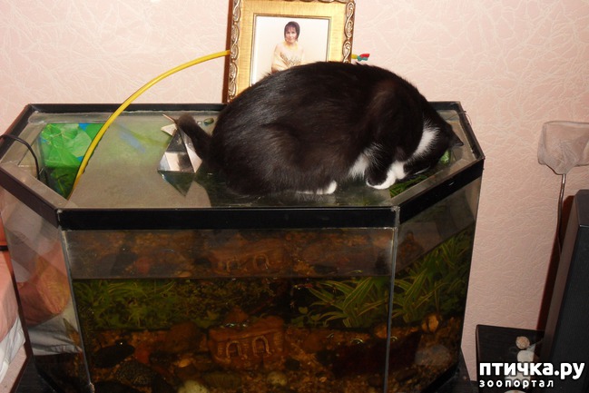 ���� 18: ����� �������� �� ������ ���� ��������.