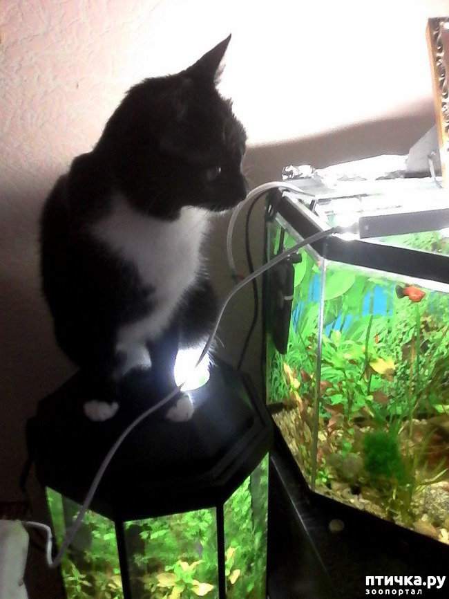 ���� 17: ����� �������� �� ������ ���� ��������.