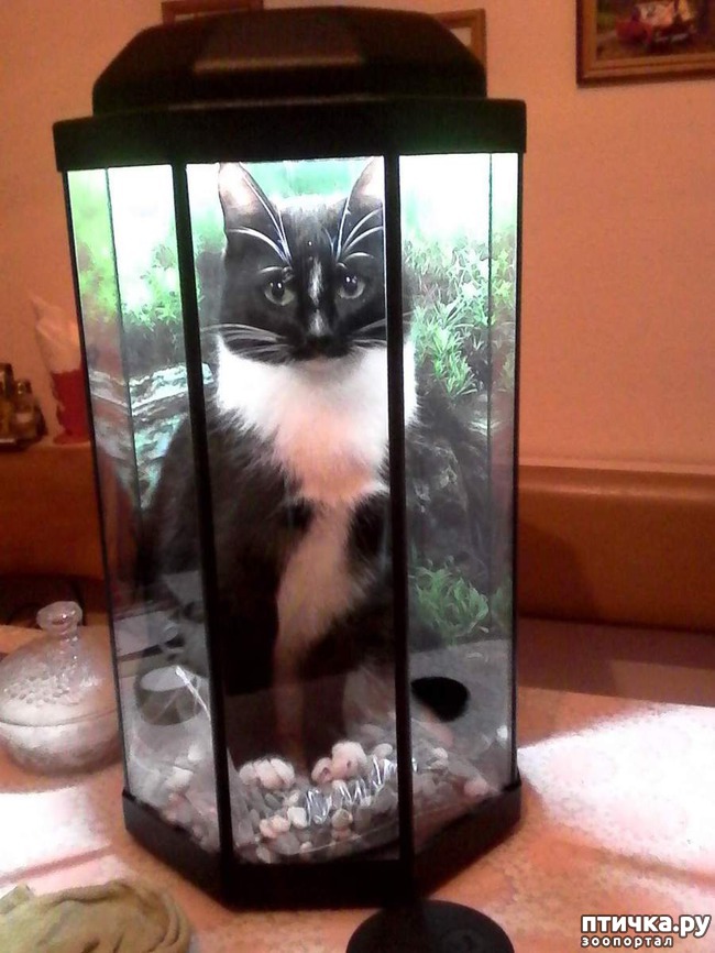 ���� 16: ����� �������� �� ������ ���� ��������.