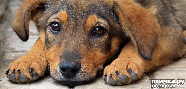 ���� 1: ������� ��������� ��������������� �� �������� ��������� � ���������