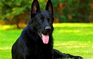 ����: ������ �� ������ ���� (����������� 3)