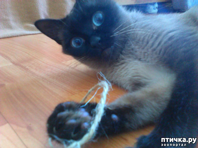 ���� 2: ���������� �������