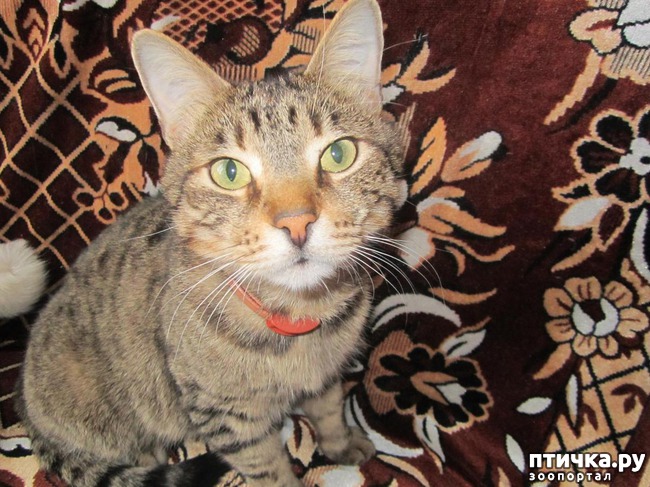 ���� 9: �������.