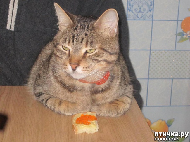 ���� 10: �������.