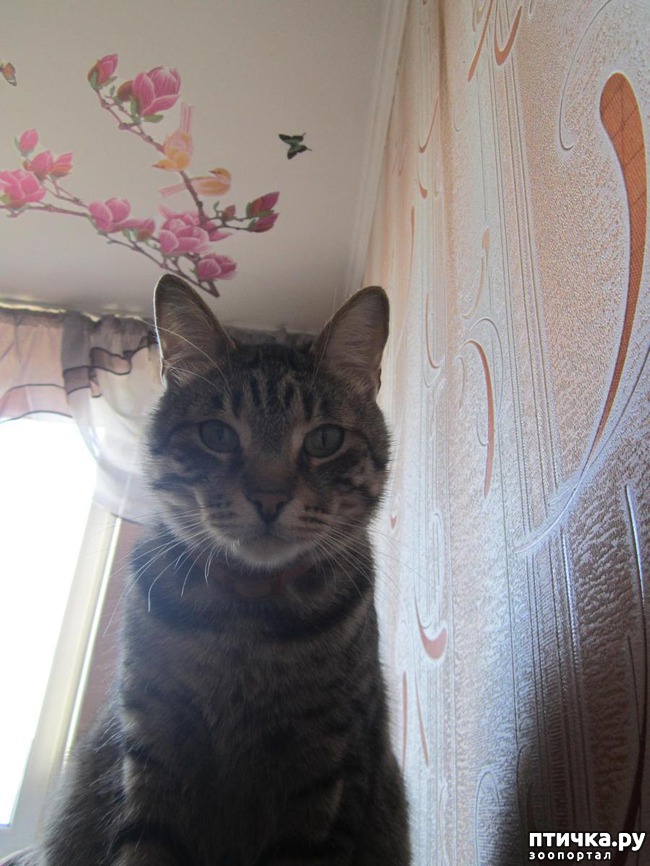 ���� 2: �������.