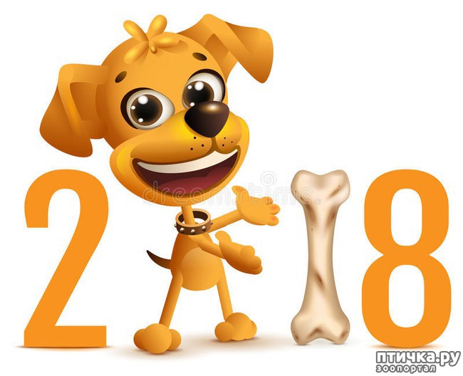 ���� 1: � ����������� ���� ����� �����!