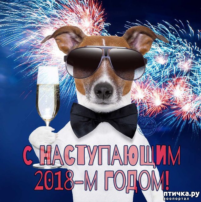 ���� 3: � ����������� ���� ����� �����!