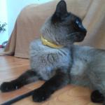 ���� 2: ����, ���� � �����������!