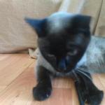 ����: ����, ���� � �����������!