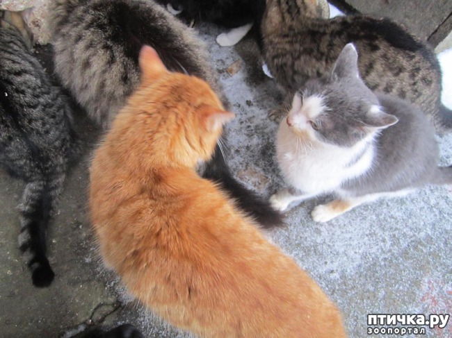 ���� 3: �� ��������� �� ����.