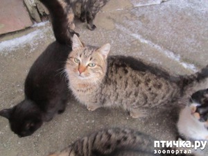 ����: �� ��������� �� ����.