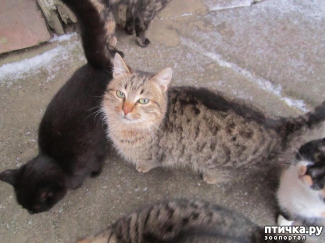 ���� 1: �� ��������� �� ����.