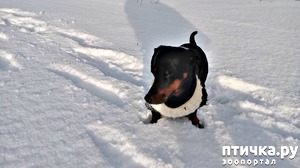 ����: ��� ��� ��� ���� ������� ����- ��� �� ����� �� ����