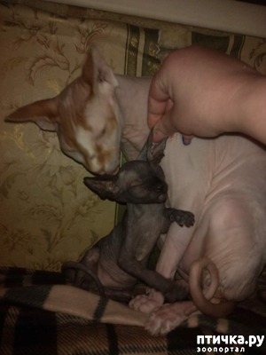 ����: ��� ���� ����� ����...