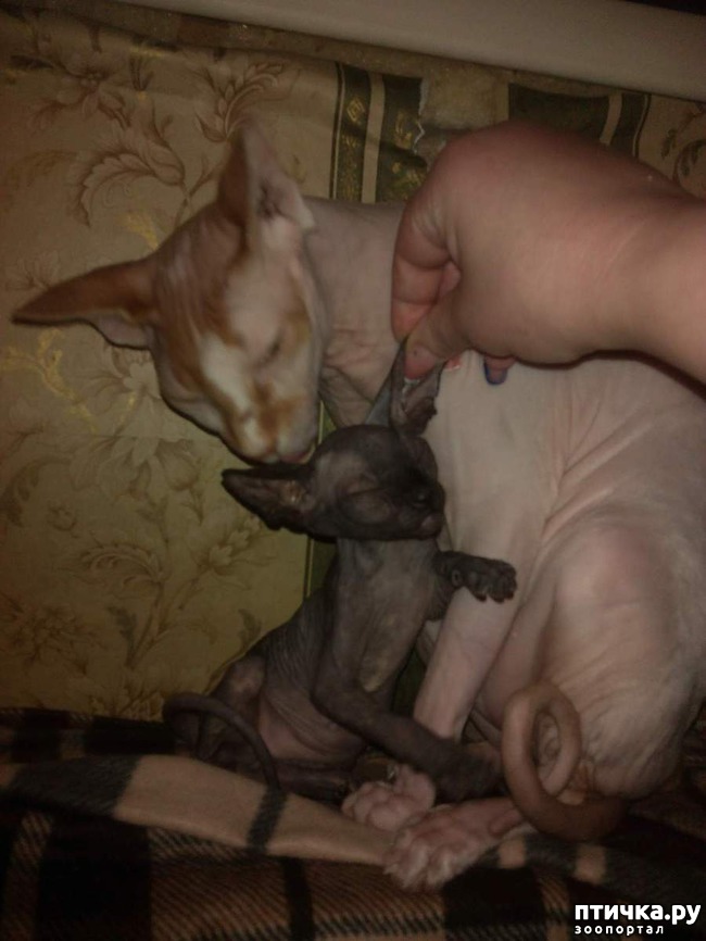 ���� 1: ��� ���� ����� ����...