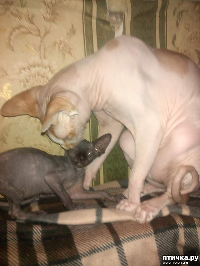 ���� 2: ��� ���� ����� ����...