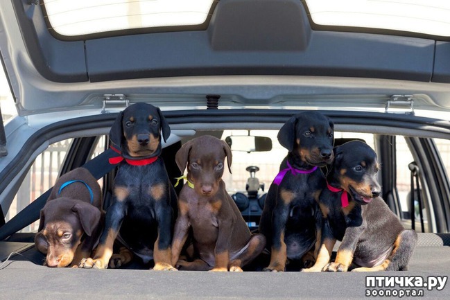 ���� 1: ����� �����...