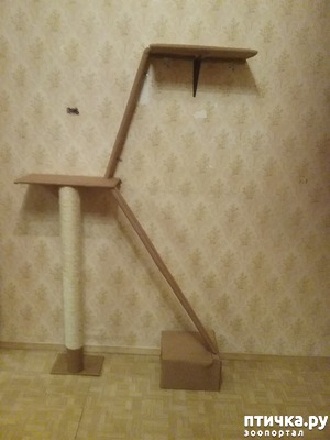 ����: �� �������-������� � ������� ���������!