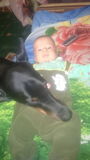 ����: � ������ � ������ -��� � �����