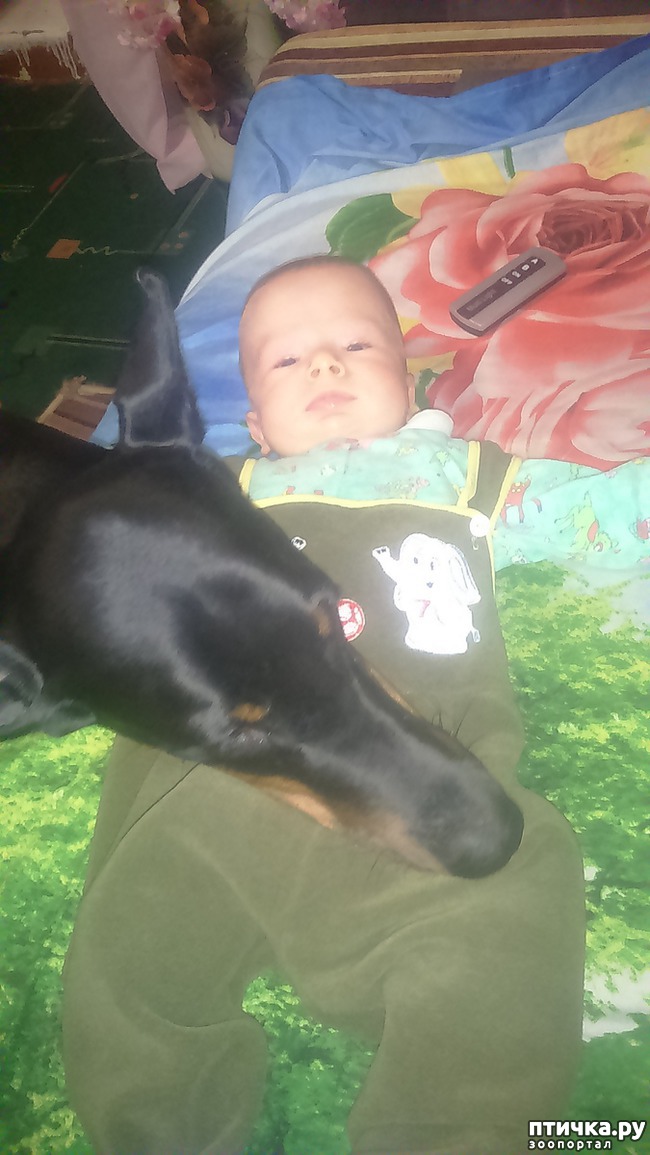 ���� 1: � ������ � ������ -��� � �����