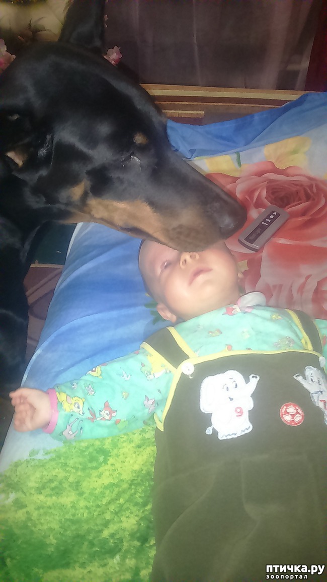 ���� 2: � ������ � ������ -��� � �����