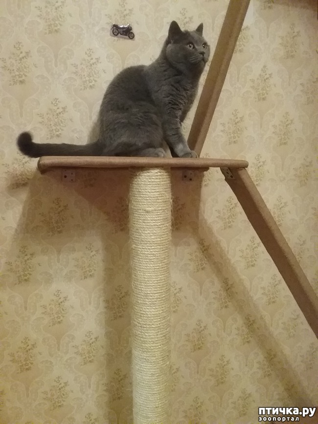 ���� 4: �� �������-������� � ������� ���������!