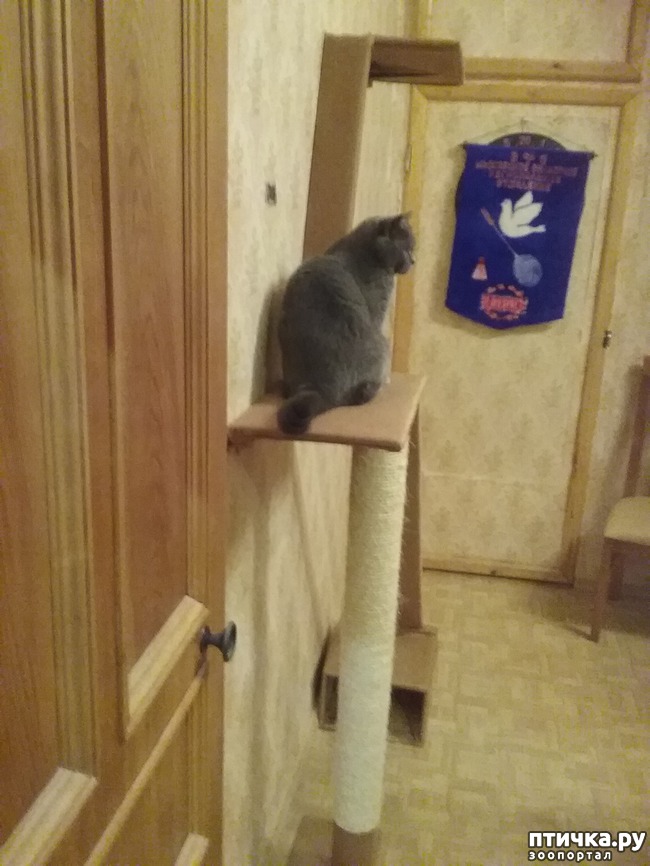 ���� 5: �� �������-������� � ������� ���������!