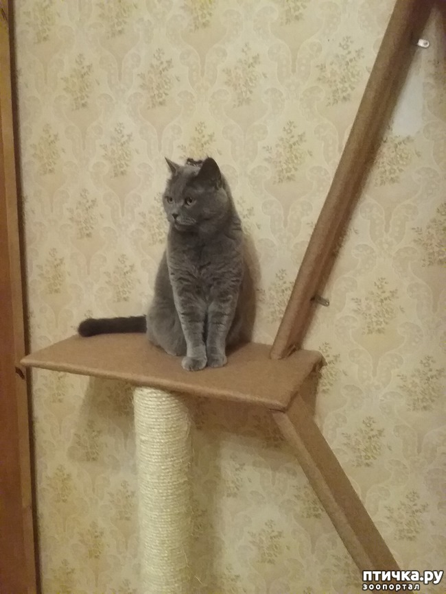 ���� 6: �� �������-������� � ������� ���������!