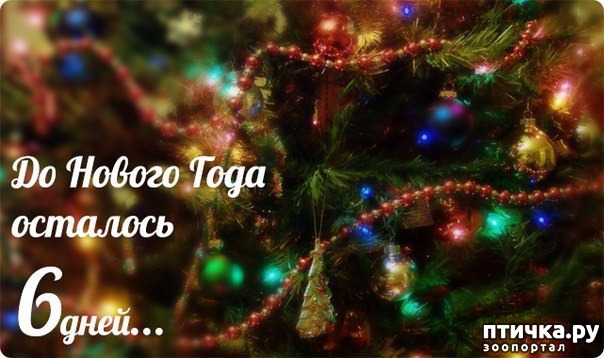 ���� 1: ����� ����.