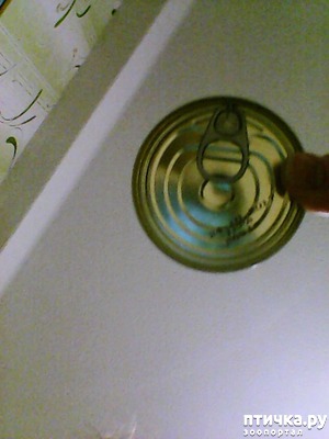 ����: ���� ��� ����������