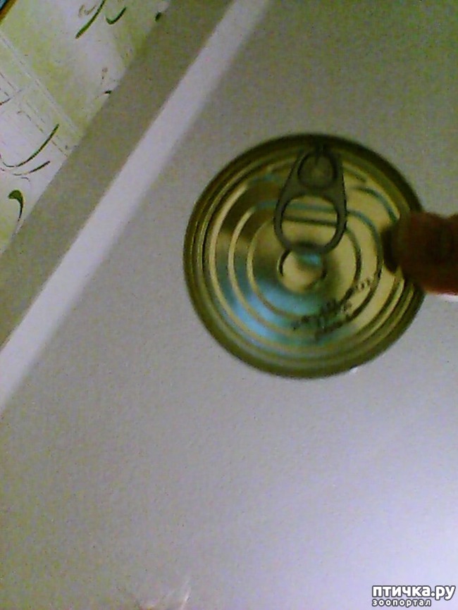 ���� 1: ���� ��� ����������